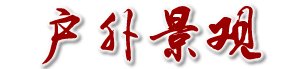 ⾰