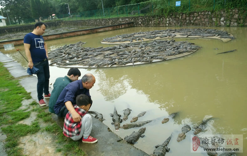 中国鳄鱼湖芜湖铁画7 中国鳄鱼湖芜湖铁画7