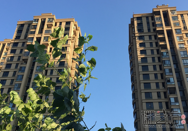 芜湖铁画艺人周黄龙 (8) 芜湖铁画艺人周黄龙 (8)