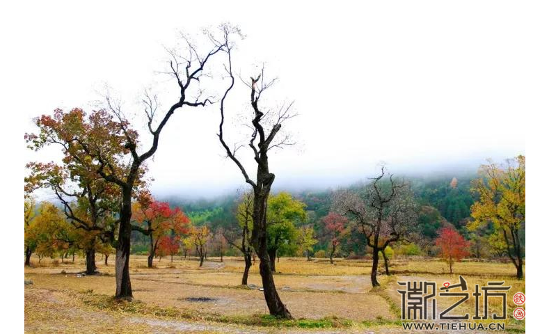 安徽省六安市金寨县天堂寨风景区 安徽省六安市金寨县天堂寨风景区