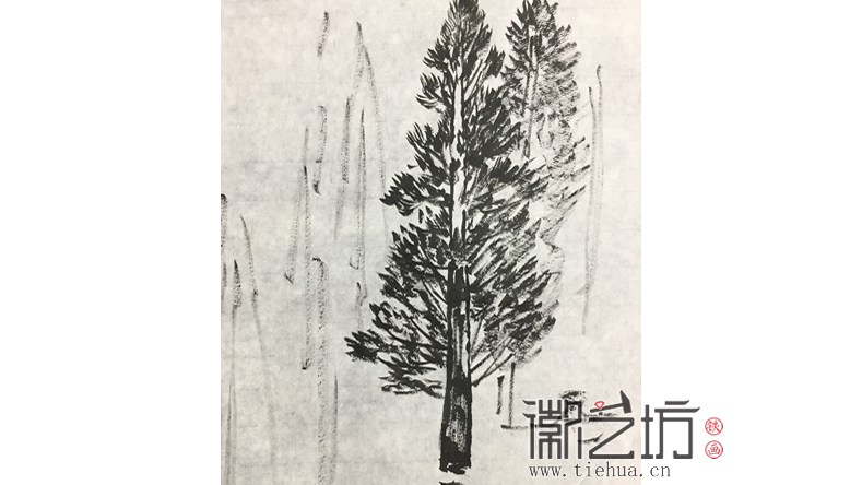 采风归来画水杉 采风归来画水杉