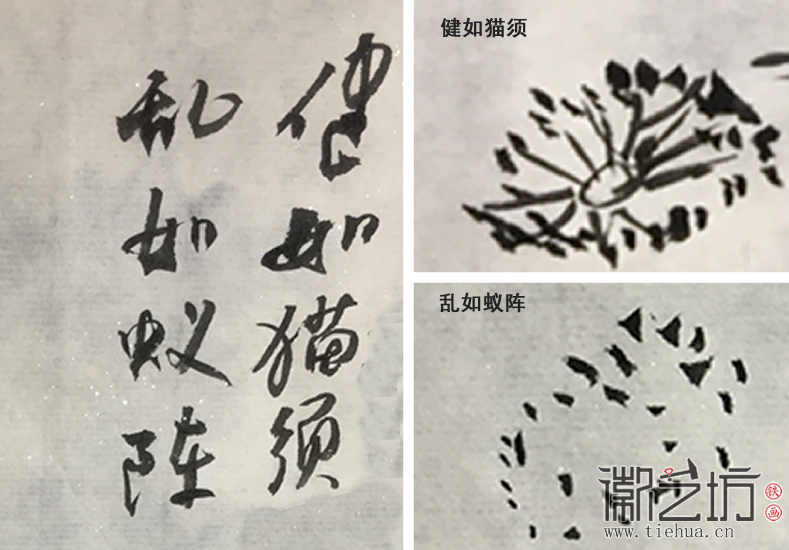 健如猫须 乱如蚁阵2 健如猫须 乱如蚁阵2