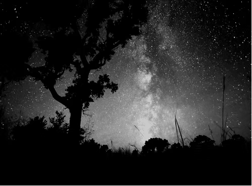 仰望星空 仰望星空
