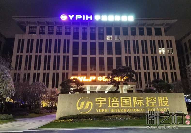徽艺坊定制上海宇培国际VIP厅浮雕彩绘装饰铁画 (8) 徽艺坊定制上海宇培国际VIP厅浮雕彩绘装饰铁画 (8)