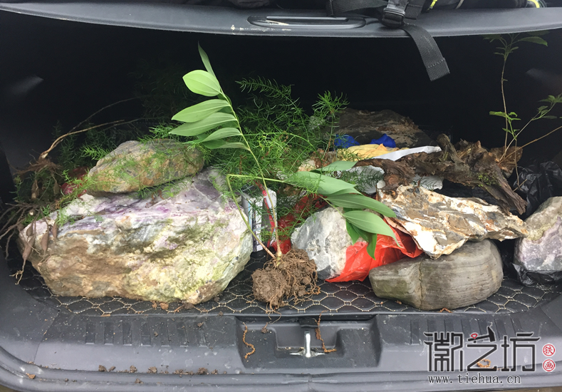 芜湖铁画知行社第二十八期——寻访宣石61 芜湖铁画知行社第二十八期——寻访宣石61